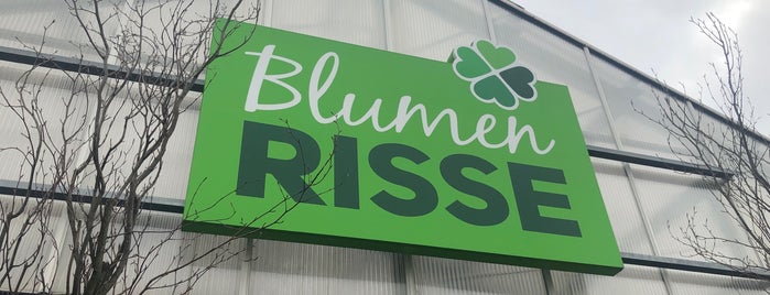 Blumen Risse is one of สถานที่ที่ Markus ถูกใจ.