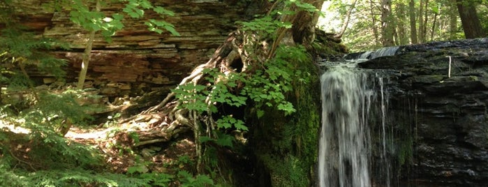 Scott Falls is one of Chrisito’s Liked Places.
