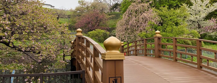 松前公園 is one of サクラ🌸便り.