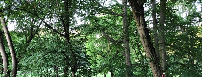 Schlosspark is one of Michael's Saved Places.