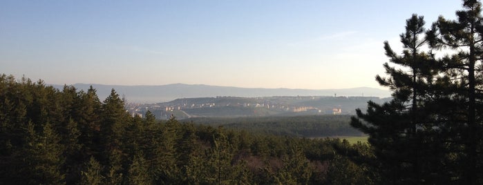 Eskisehir City Forest is one of Koşu.