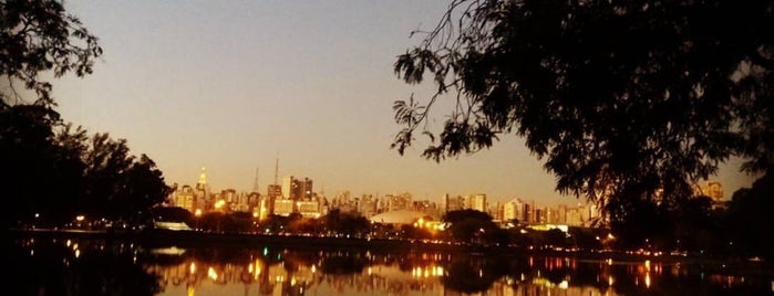 Parque Ibirapuera is one of Orte, die Dani gefallen.