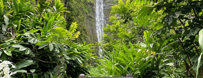 Waimoku Falls is one of Karaii.