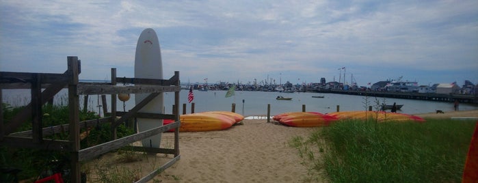 Provincetown Aquasports is one of Ann'ın Beğendiği Mekanlar.