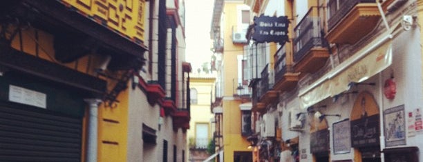 Barrio Santa Cruz is one of My favorite places in Spain.