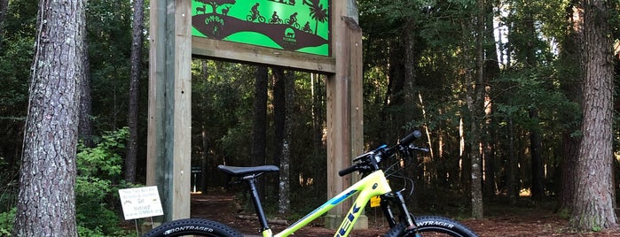 Santos Trailhead is one of Ocala and Gainsville.