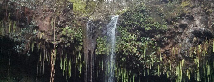 Twin Falls is one of Maui.