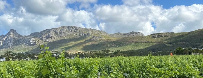 Steenberg Hotel is one of Hotels.