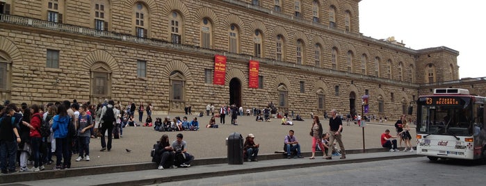 Piazza dei Pitti is one of Florence Tour.