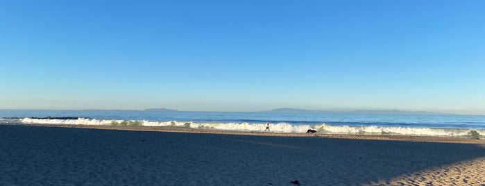 Pierpont Beach is one of ventura.