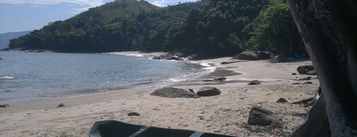 Praia do Cedro is one of Lugares favoritos de Otavio.