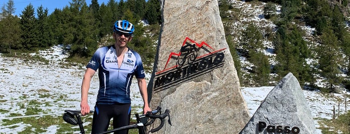 Passo Del Mortirolo is one of Great Climbs of the Alps.