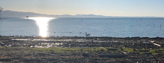 Hegestrand 3 is one of Bodensee.