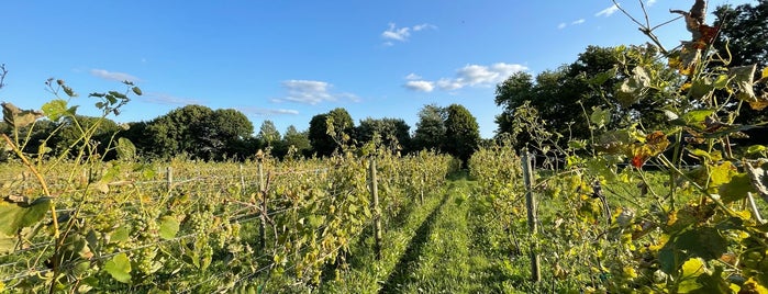 Greenvale Vineyards is one of Wineries & Vineyards.