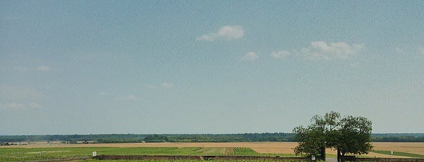 Nuits Saint-Georges is one of Lieux qui ont plu à Ana Beatriz.