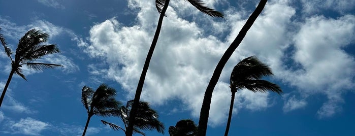 Kiahuna Beach is one of Hawai’i.