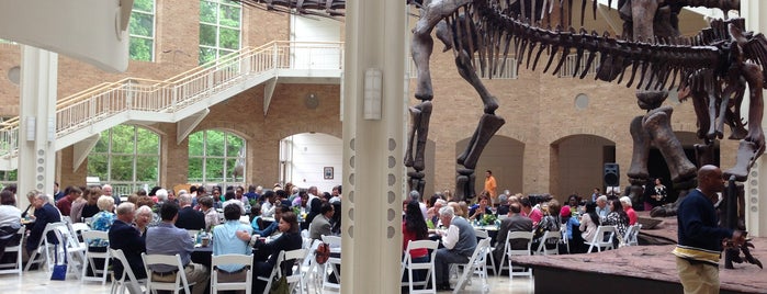 Fernbank Museum of Natural History is one of Historian 2.