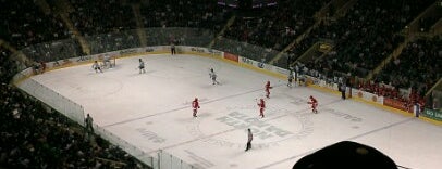 Ralph Engelstad Arena is one of College Hockey Rinks.