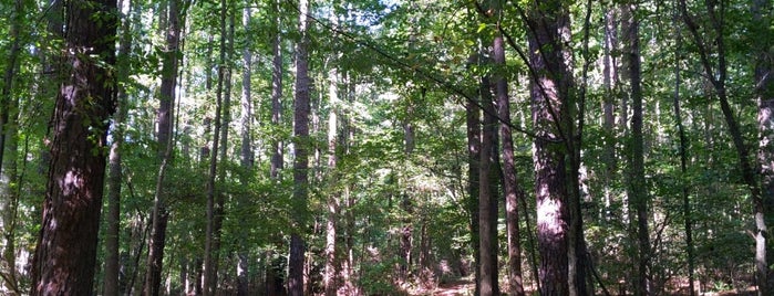 Mine Creek Trail is one of สถานที่ที่ Gordon ถูกใจ.