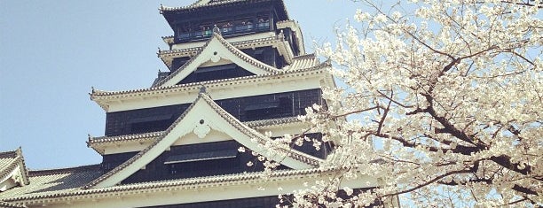 Kumamoto Castle is one of Japanese Places to Visit.