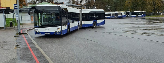22. autobuss  | Abrenes iela - Lidosta is one of transports.