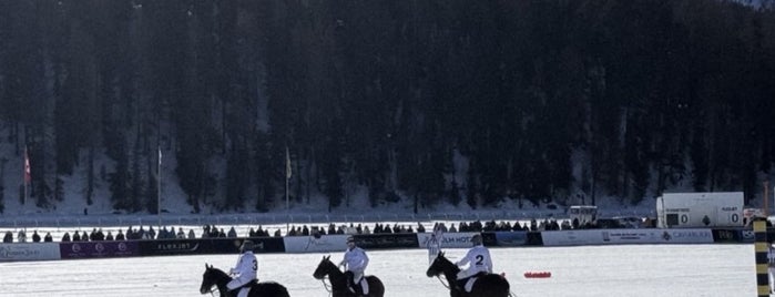 Snow Polo World Cup St. Moritz is one of سويسرا.