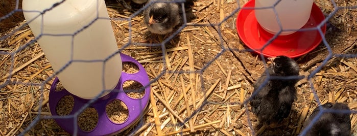 Bay Hay and Feed is one of Great Places.