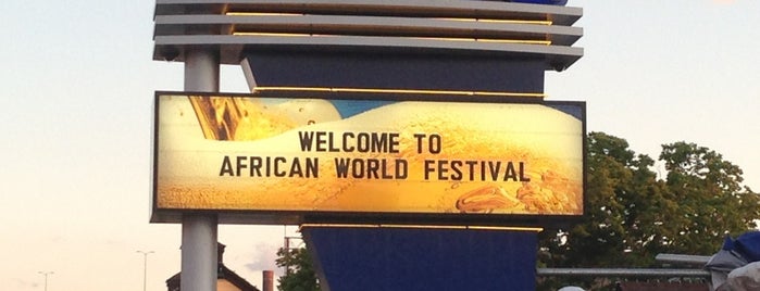 African World Festival is one of Milwaukee Festivals.