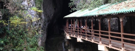 Akiyoshido Cave is one of ラムサール条約登録湿地(Ramsar Convention Wetland in Japan).