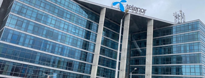 TELENOR Bulgaria HQ is one of Near work.