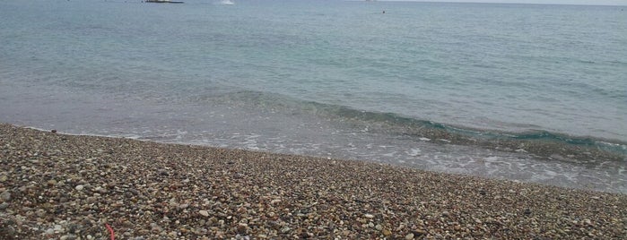 Elli Beach is one of Rodos.