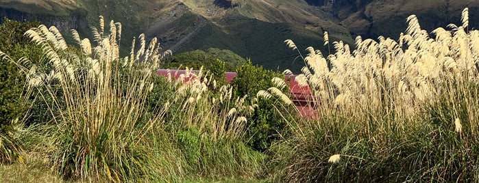 North Egmont Visitor Centre is one of Locais curtidos por Marc.