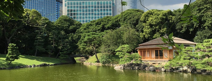 Hamarikyu Gardens is one of สถานที่ที่ Marc ถูกใจ.