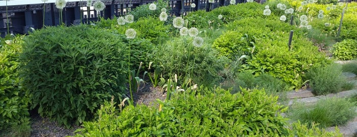 High Line is one of An Amateur Botanist's Guide to Local Gardens.