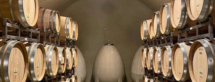 Arkenstone Vineyards is one of Calistoga Spectacular Vineyards.