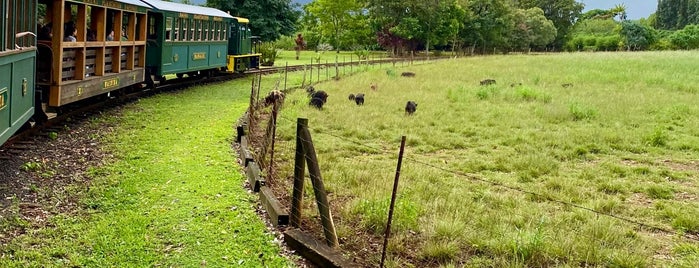 Kauai Plantation Railway is one of Kauai 2019.