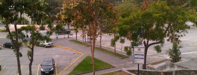 Must-visit Universities in Guayaquil