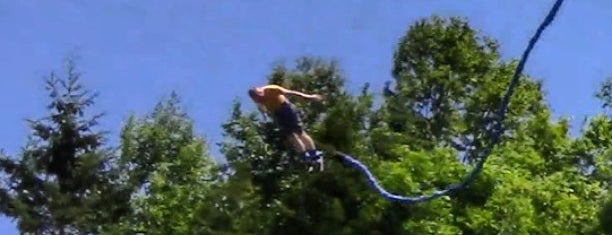 Canadian Bungee is one of Muy Recomendados.