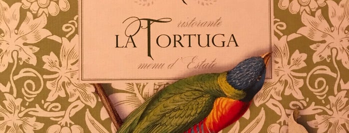 La Tortuga is one of Verona.