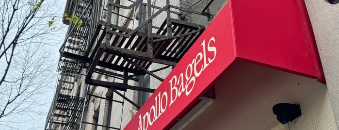 Apollo Bagels is one of New York food.
