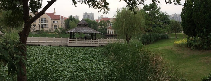 Fengpu Four Seasons Ecological Park is one of Shanghai Public Parks.