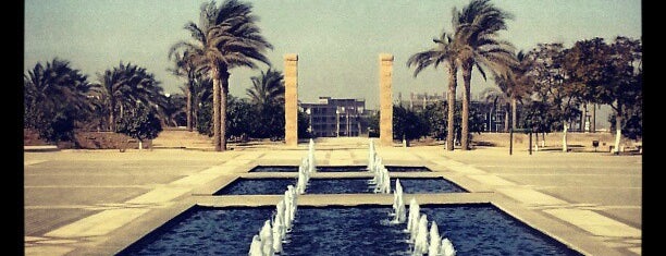 The American University in Cairo (AUC) is one of 5thSettle Guide - التجمع الخامس.