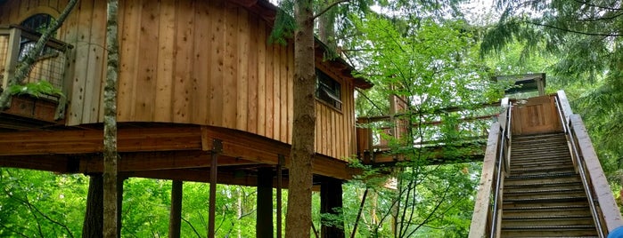 Microsoft Treehouse is one of Weekend ideas.
