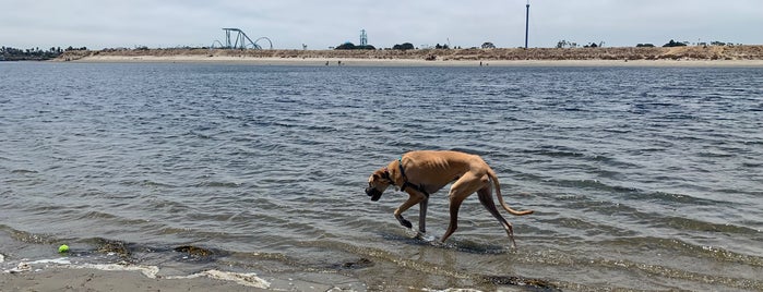 Fiesta Island Dog Park is one of San Diego.