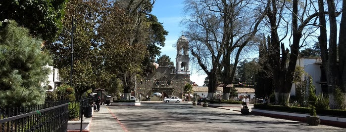 Plaza Miguel Hidalgo is one of Tempat yang Disukai Gerardo.