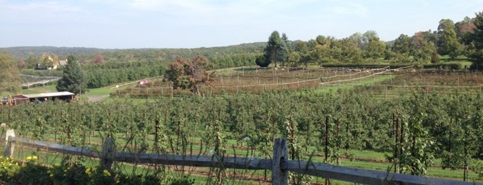 Belltown Hill Orchards is one of adventures outside nyc.