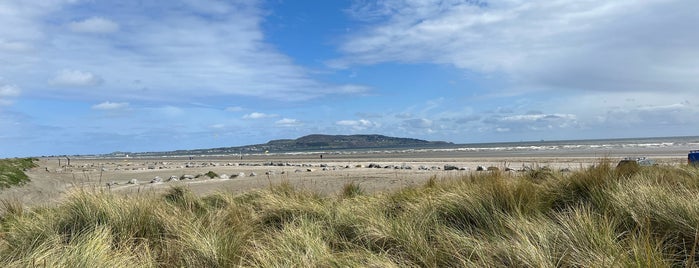Bull Island is one of Summer2011.