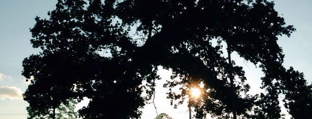 Memorial Park is one of TopSpots in Houston.