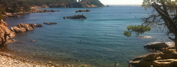 Cala de s'Alguer is one of PLAYAS y CALAS COSTA BRAVA.