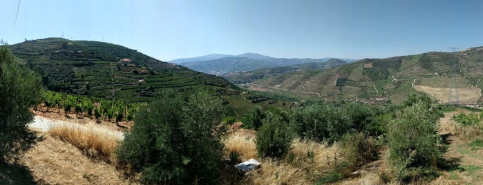 Quinta Casal Dronho is one of Portgual.